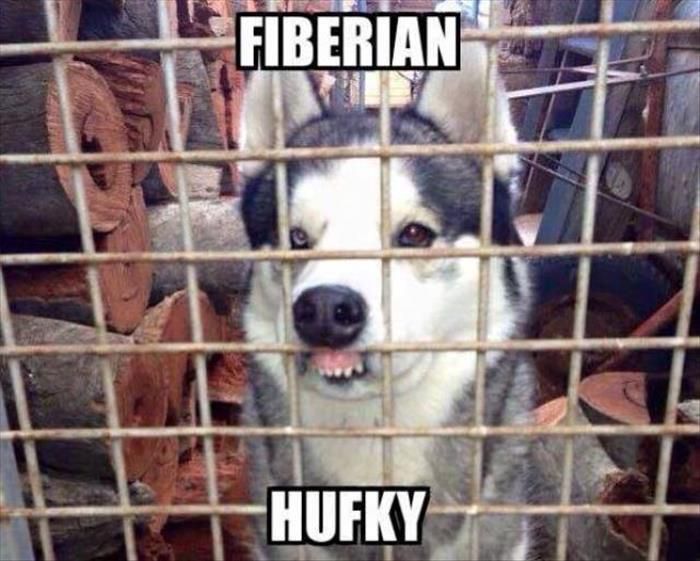 FIBERIAN
HUFKY