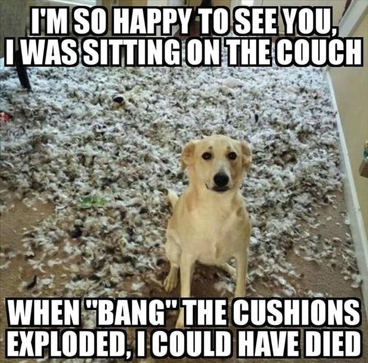 I'M SO HAPPY TO SEE YOU,
I WAS SITTING ON THE COUCH
WHEN "BANG" THE CUSHIONS
EXPLODED, I COULD HAVE DIED