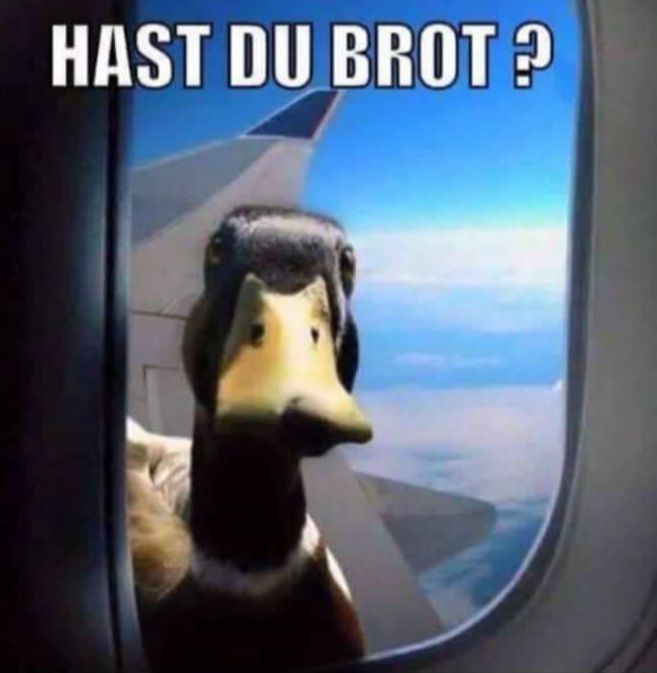 HAST DU BROT?