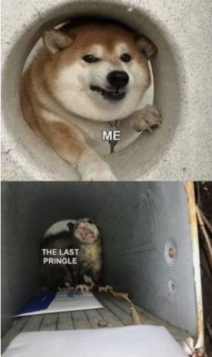 THE LAST
PRINGLE
ME