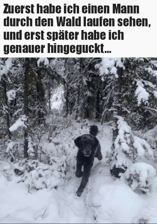 Zuerst habe ich einen Mann
durch den Wald laufen sehen,
und erst später habe ich
genauer hingeguckt...