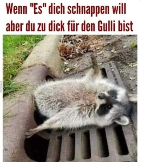 Wenn "Es" dich schnappen will
aber du zu dick für den Gulli bist