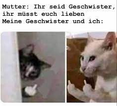 Das Bild zeigt zwei Katzen. Links ist eine Katze, die in einer Tür steht und den Mittelfinger zeigt. Rechts ist eine Katze, die ebenfalls den Mittelfinger zeigt. Der Text über den Katzen lautet: "Mutter: Ihr seid Geschwister, ihr müsst euch lieben. Meine Geschwister und ich:".