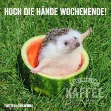 HOCH DIE HÄNDE WOCHENENDE!
TMITTERRORMADNIAL
SOK MAR
KAFFEE