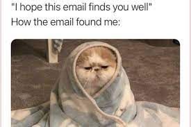 "I hope this email finds you well"
How the email found me: