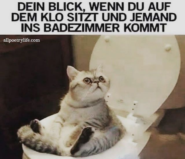 DEIN BLICK, WENN DU AUF
DEM KLO SITZT UND JEMAND
INS BADEZIMMER
KOMMT
allpoetrylife.com