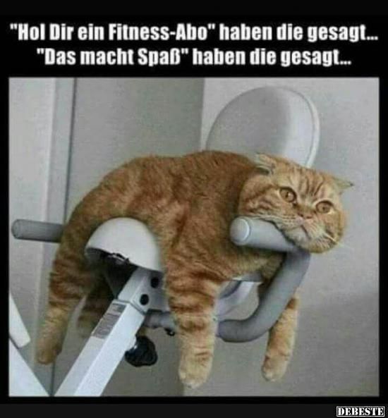 "Hol Dir ein Fitness-Abo" haben die gesagt...
"Das macht Spaß" haben die gesagt...
DEBESTE