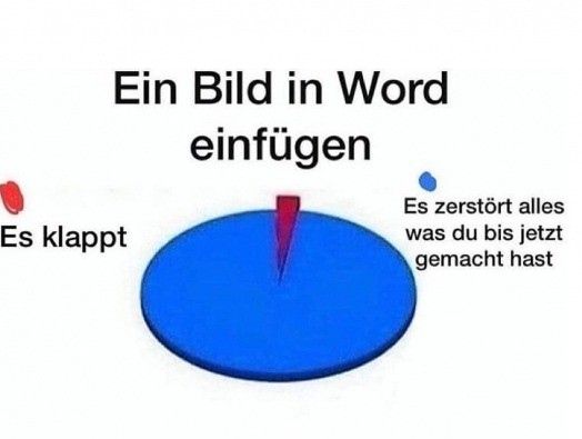 Ein Kreisdiagramm zeigt, dass ein sehr kleiner Teil (rot) des Kreises "Es klappt" ist, während der überwiegende Teil (blau) "Es zerstört alles, was du bis jetzt gemacht hast" repräsentiert. Über dem Diagramm steht: "Ein Bild in Word einfügen".