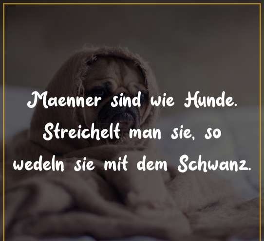 Maenner sind wie Hunde.
Streichelt man sie, so
wedeln sie mit dem Schwanz.