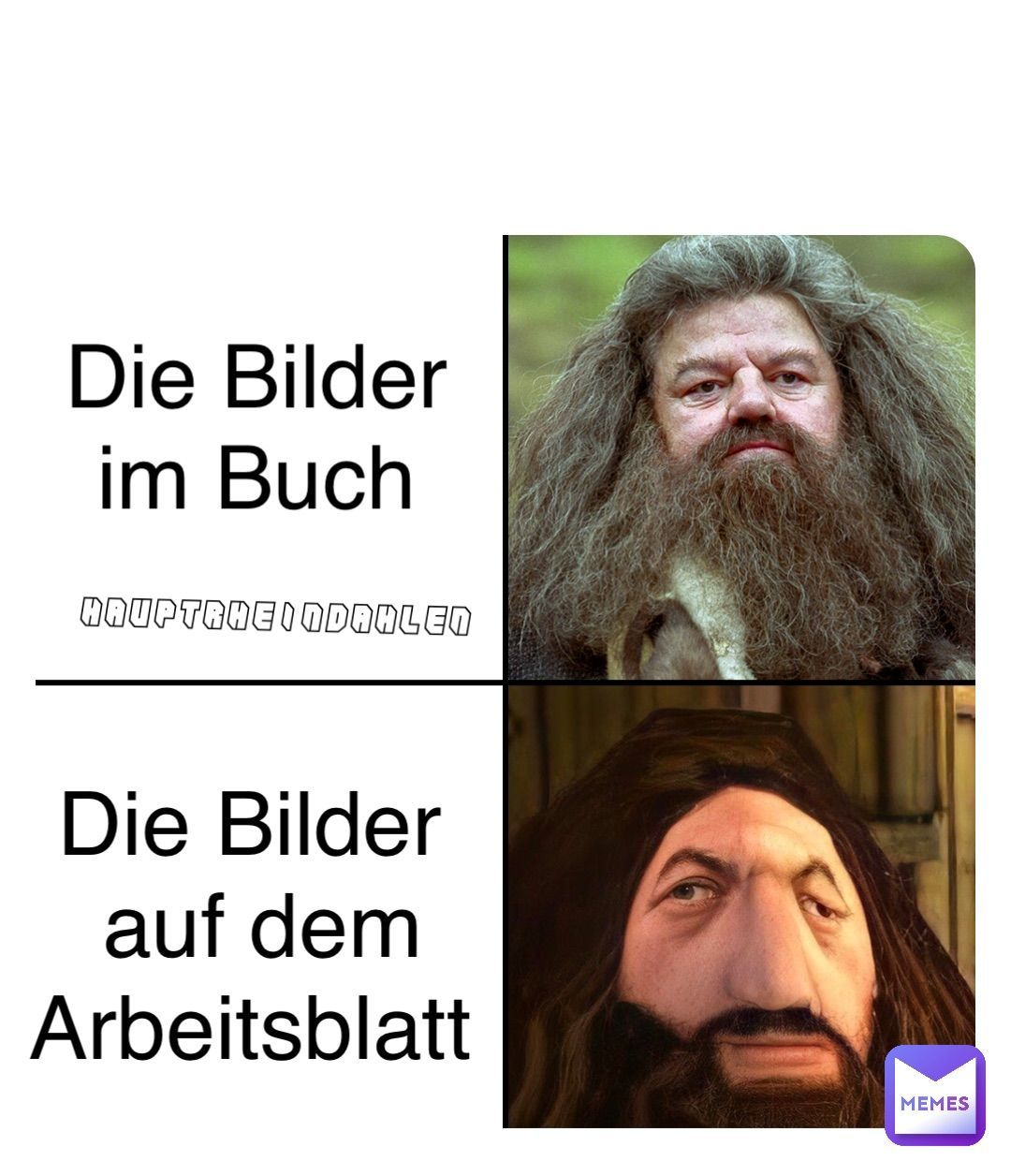 Die Bilder
im Buch
HAUPTRHE I NDAHLEN
Die Bilder
auf dem
Arbeitsblatt
MEMES