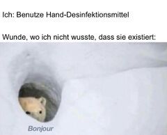 Ich: Benutze Hand-Desinfektionsmittel
Wunde, wo ich nicht wusste, dass sie existiert:
Bonjour