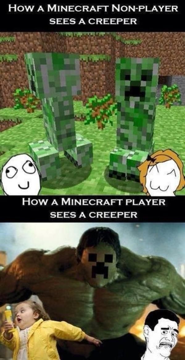 HOW A MINECRAFT NON-PLAYER
SEES A CREEPER
HOW A MINECRAFT PLAYER
SEES A CREEPER