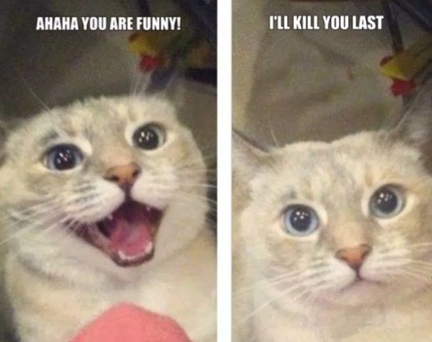 AHAHA YOU ARE FUNNY!
I'LL KILL YOU LAST