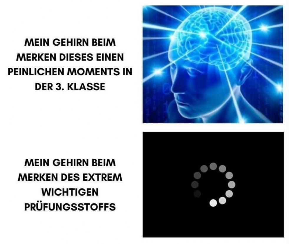 MEIN GEHIRN BEIM
MERKEN DIESES EINEN
PEINLICHEN MOMENTS IN
DER 3. KLASSE
MEIN GEHIRN BEIM
MERKEN DES EXTREM
WICHTIGEN
PRÜFUNGSSTOFFS