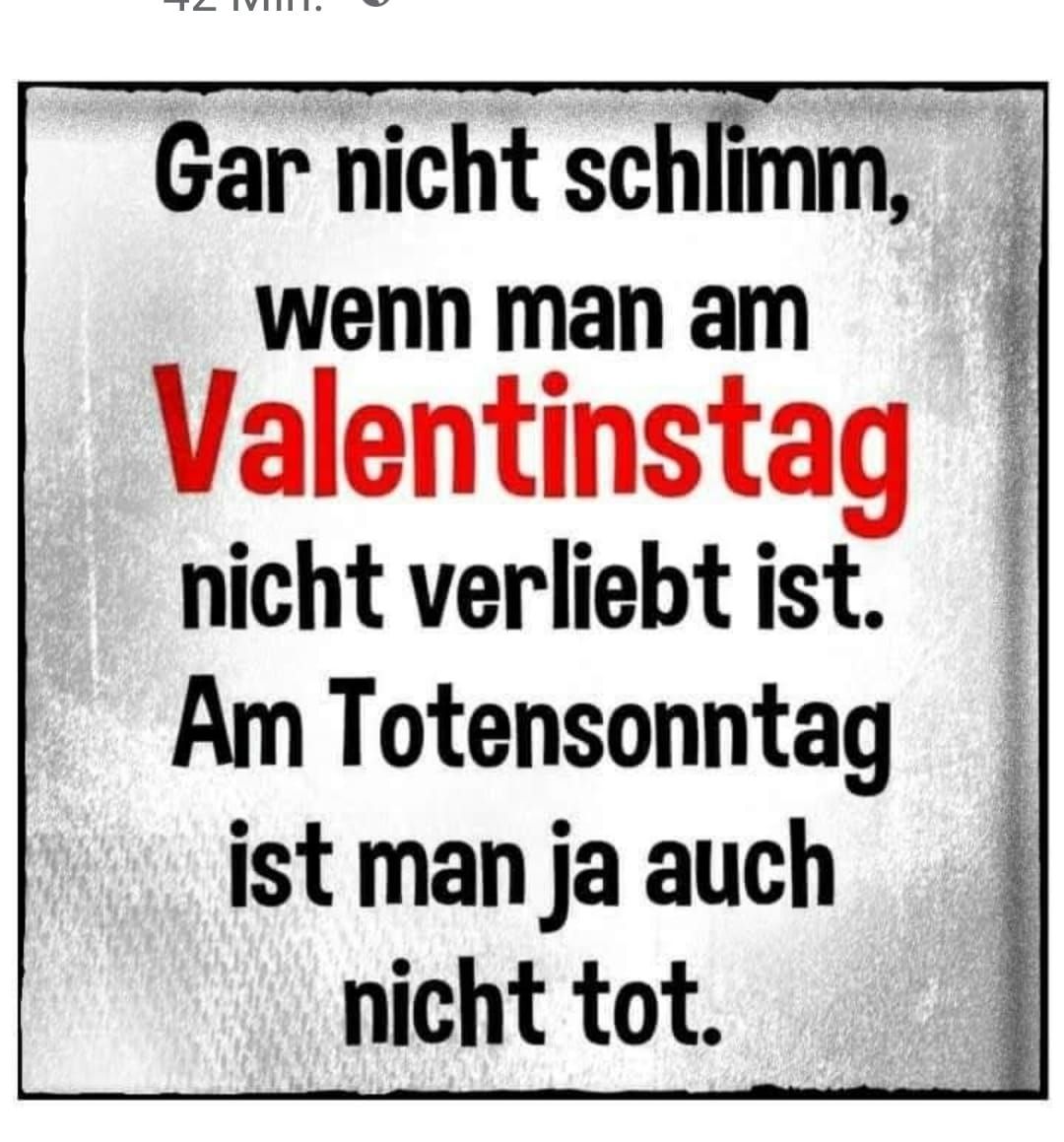 Das Bild zeigt einen Text auf grauem Hintergrund. Der Text lautet: "Gar nicht schlimm, wenn man am Valentinstag nicht verliebt ist. Am Totensonntag ist man ja auch nicht tot."