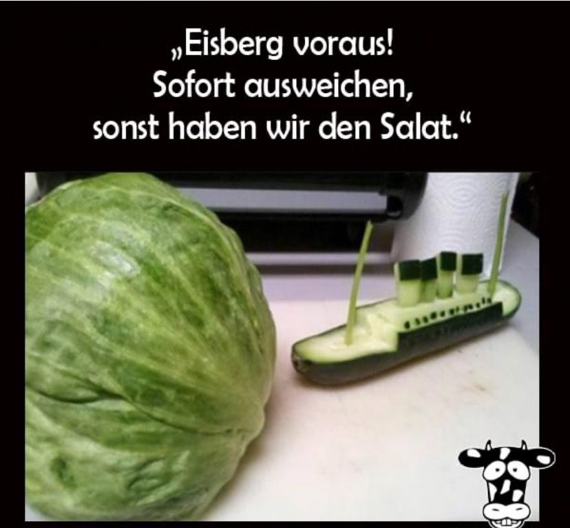 „Eisberg voraus!
Sofort ausweichen,
sonst haben wir den Salat."