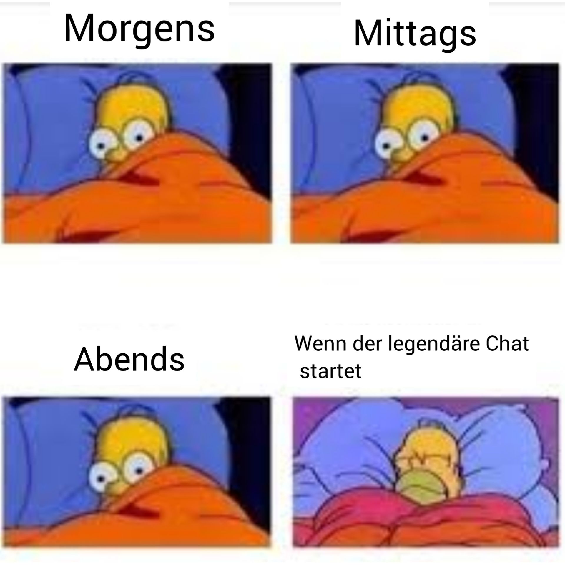 Morgens
Abends
Mittags
Wenn der legendäre Chat
startet