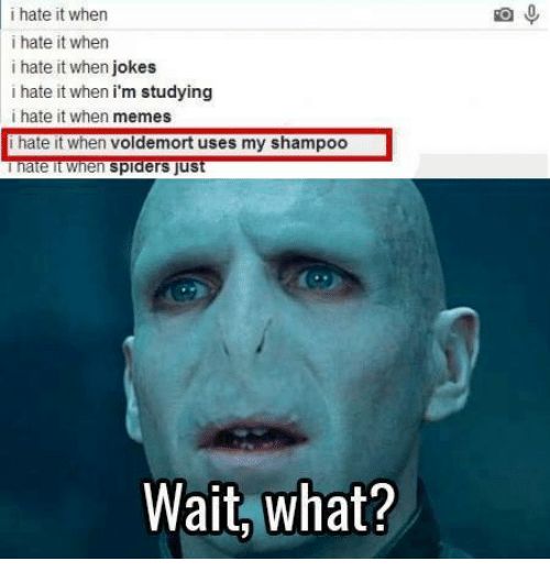 i hate it when
i hate it when
i hate it when jokes
i hate it when i'm studying
i hate it when memes
i hate it when voldemort uses my shampoo
I hate it when spiders just
Wait, what?
Ö