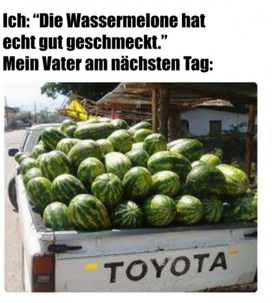 Ich: "Die Wassermelone hat
echt gut geschmeckt."
Mein Vater am nächsten Tag:
TOYOTA