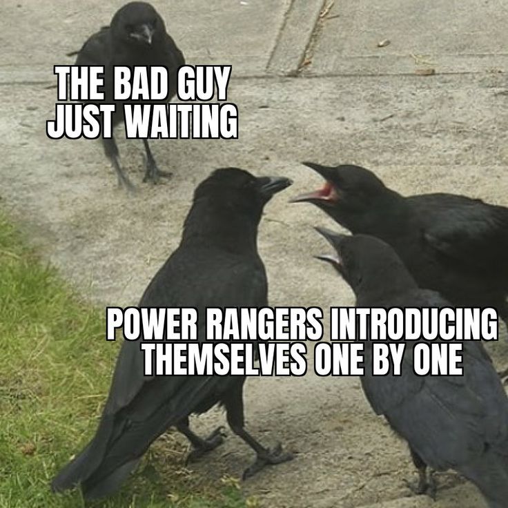 THE BAD GUY
JUST WAITING
POWER RANGERS INTRODUCING
THEMSELVES ONE BY ONE