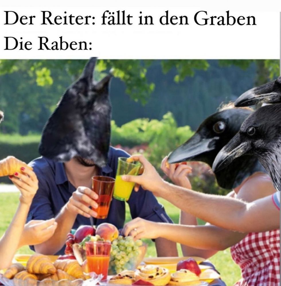 Der Reiter: fällt in den Graben
Die Raben: