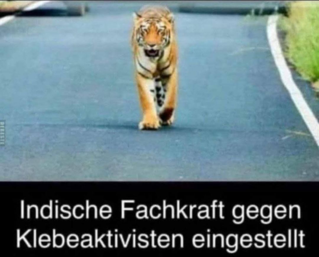 Indische Fachkraft gegen
Klebeaktivisten eingestellt