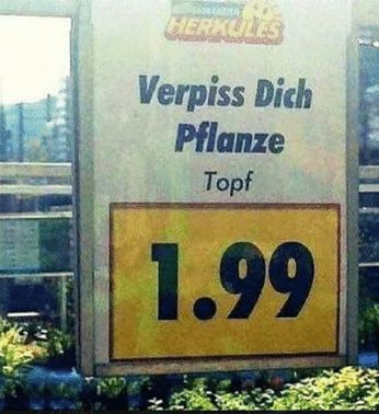 HERKULES
Verpiss Dich
Pflanze
Topf
1.99