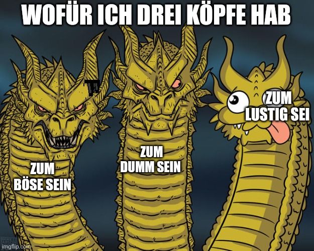 Ein dreiköpfiger goldener Drache mit drei unterschiedlichen Gesichtern. Das linke Gesicht sieht böse, das mittlere dumm und das rechte Gesicht lustig aus. Über den Drachen steht geschrieben: "Wofür ich drei Köpfe hab". Unter dem linken Kopf steht: "Zum böse sein". Unter dem mittleren Kopf steht: "Zum dumm sein" und unter dem rechten steht: "Zum lustig sein".