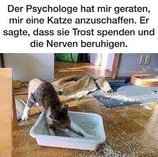 Der Psychologe hat mir geraten,
mir eine Katze
anzuschaffen. Er
sagte, dass sie Trost spenden und
die Nerven beruhigen.
FELDRE