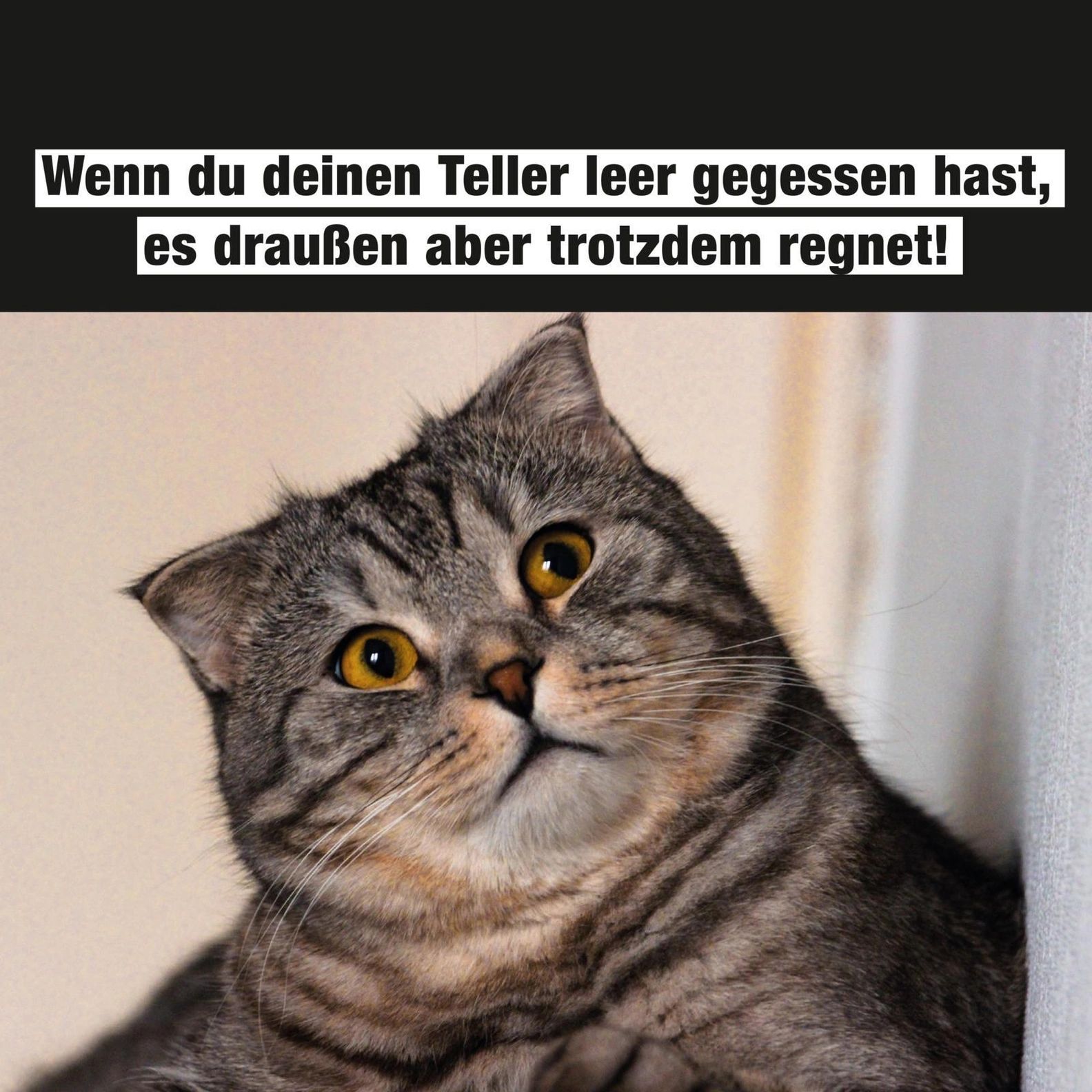 Wenn du deinen Teller leer gegessen hast,
es draußen aber trotzdem regnet!