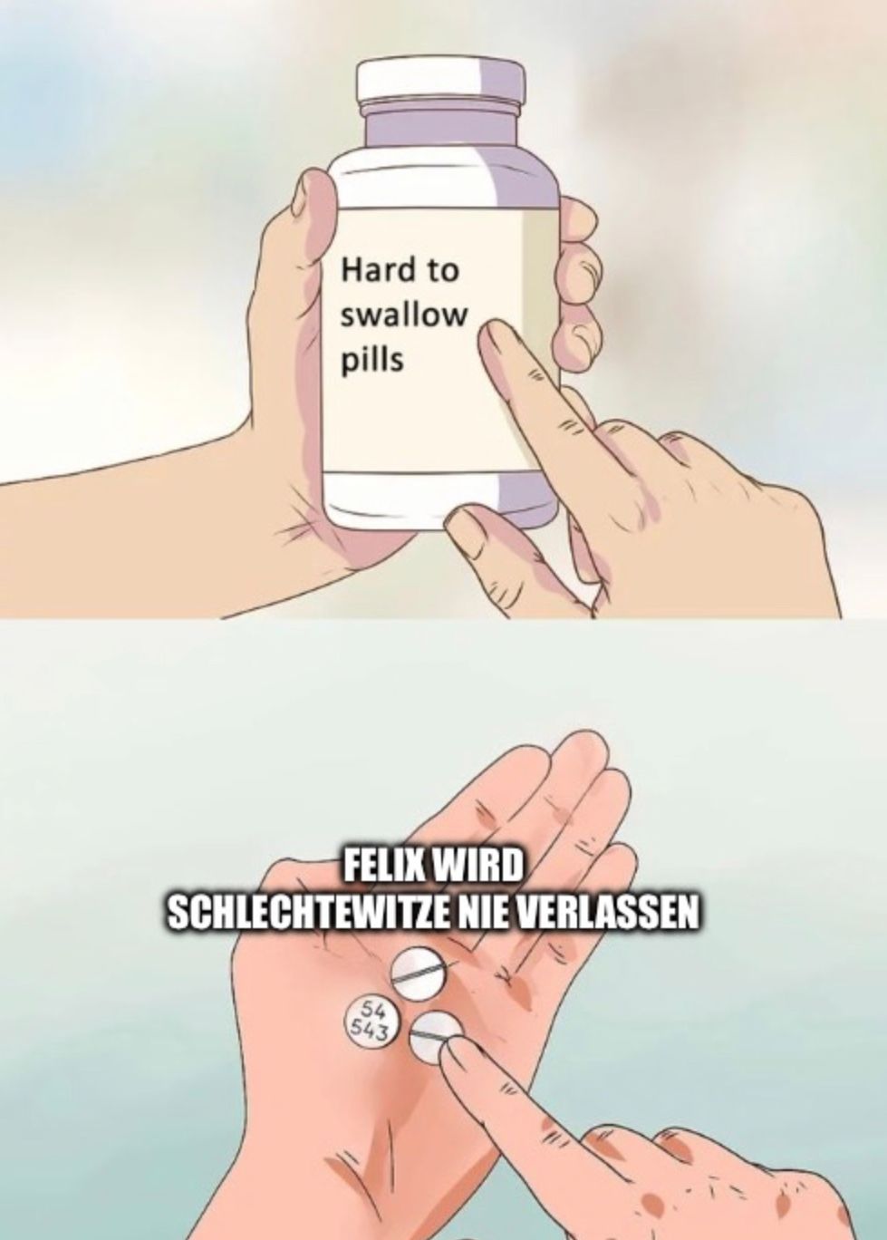 Hard to
swallow
pills
FELIX WIRD
SCHLECHTEWITZE NIE VERLASSEN
54
543