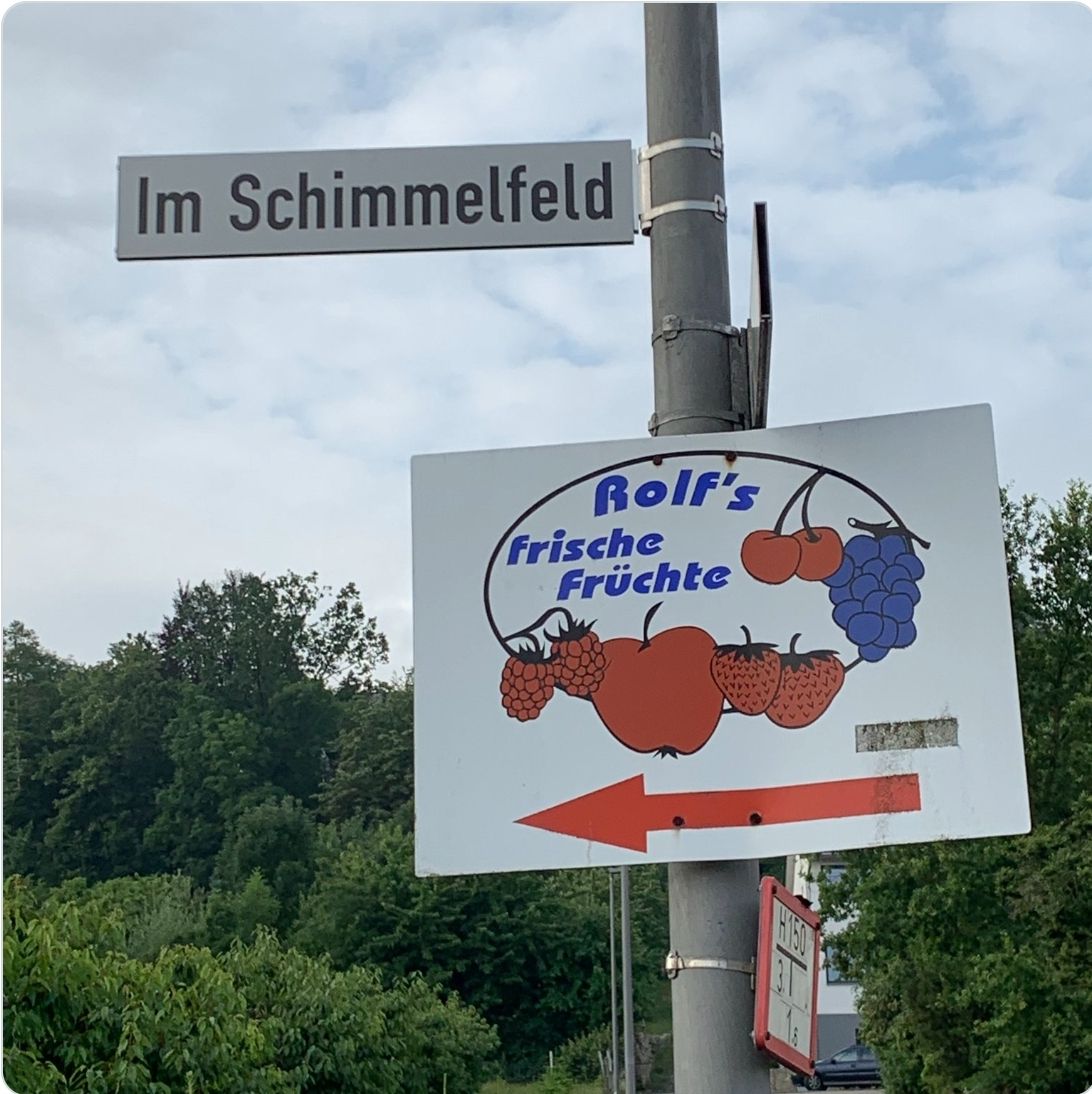 Im Schimmelfeld
Rolf's
frische
Früchte