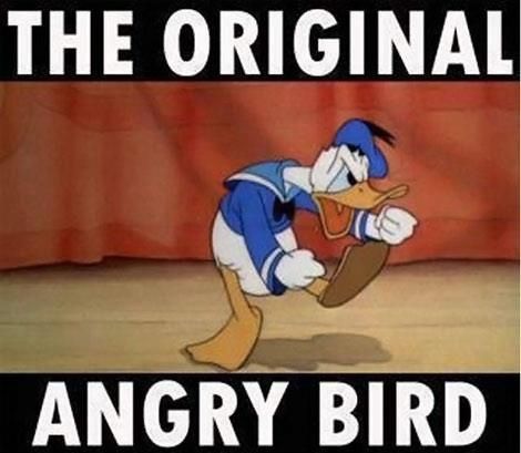 THE ORIGINAL
V
ANGRY BIRD