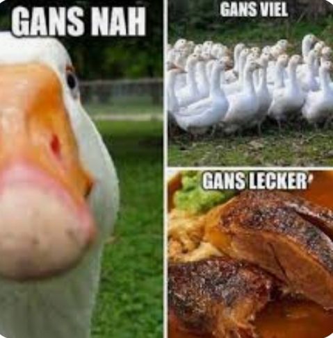 GANS NAH
GANS VIEL
GANS LECKER