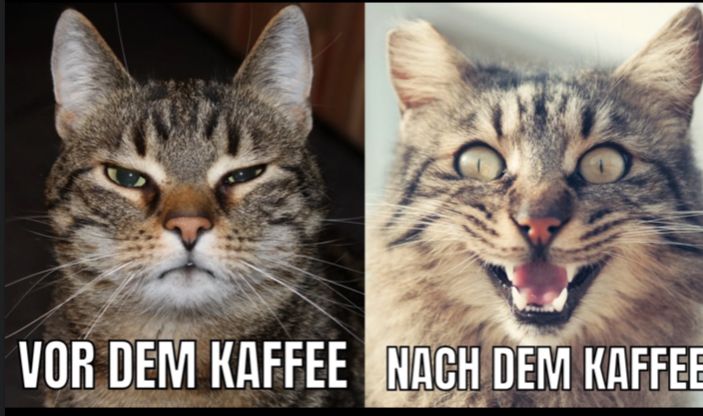 VOR DEM KAFFEE NACH DEM KAFFEE