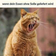 wenn dein Essen ohne Soße geliefert wird