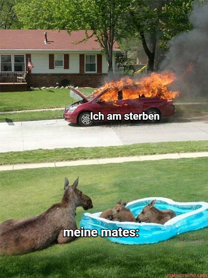 Ich am sterben
meine mates:
makeitmeme.com