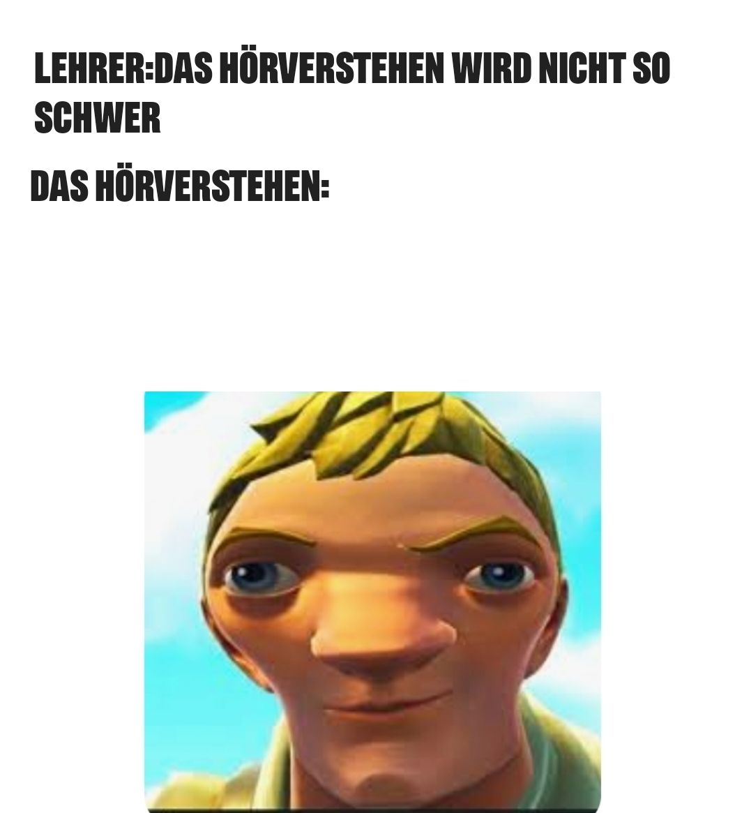 LEHRER:DAS HÖRVERSTEHEN WIRD NICHT SO
SCHWER
DAS HÖRVERSTEHEN: