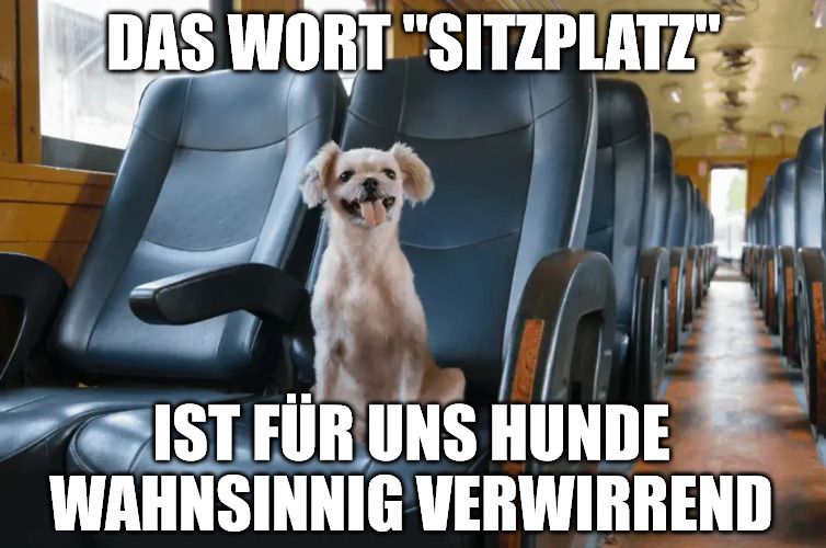 DAS WORT "SITZPLATZ"
IST FÜR UNS HUNDE
WAHNSINNIG VERWIRREND