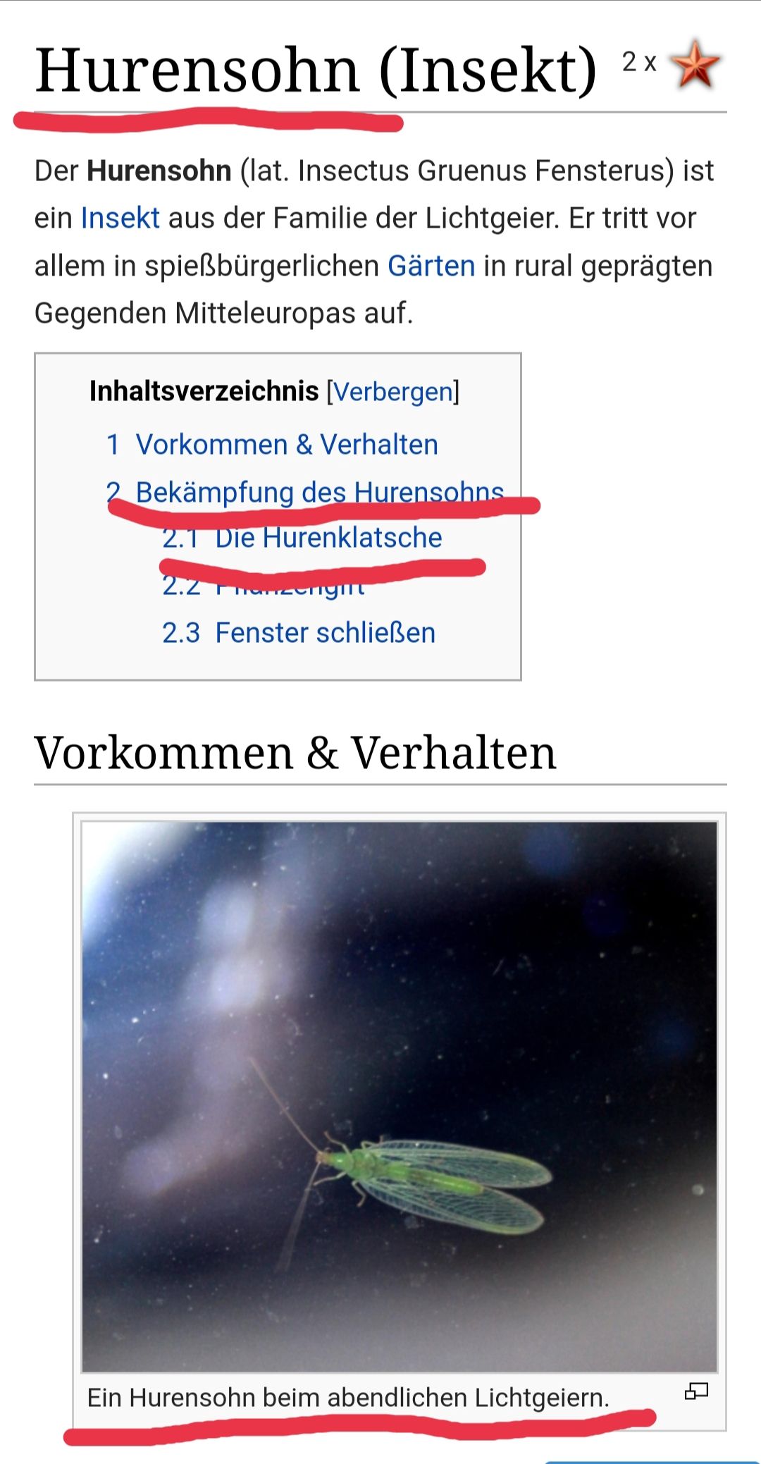 Hurensohn (Insekt)
Der Hurensohn (lat. Insectus Gruenus Fensterus) ist
ein Insekt aus der Familie der Lichtgeier. Er tritt vor
allem in spießbürgerlichen Gärten in rural geprägten
Gegenden Mitteleuropas auf.
Inhaltsverzeichnis [Verbergen]
1 Vorkommen & Verhalten
2 Bekämpfung des Hurensohns
2.1 Die Hurenklatsche
2.2 Manzonight
2.3 Fenster schließen
Vorkommen & Verhalten
Ein Hurensohn beim abendlichen Lichtgeiern.
2x ☆
먼