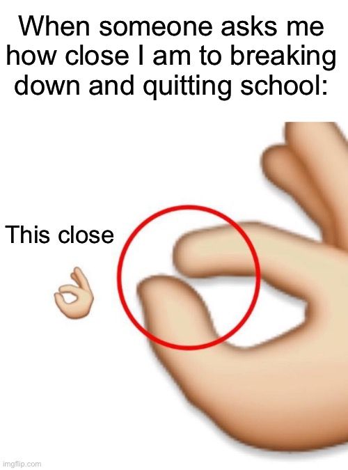 When someone asks me
how close I am to breaking
down and quitting school:
This close
d
imgflip.com