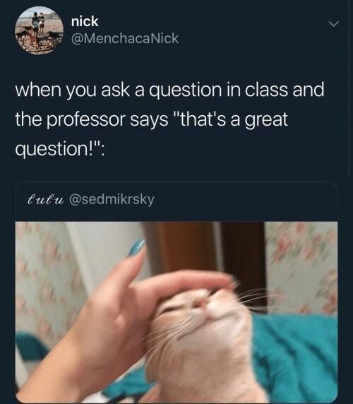 nick
@Menchaca Nick
when you ask a question in class and
the professor says "that's a great
question!":
lulu @sedmikrsky