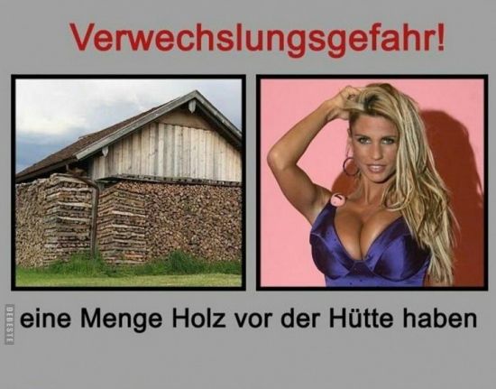 DEBESTE
Verwechslungsgefahr!
eine Menge Holz vor der Hütte haben