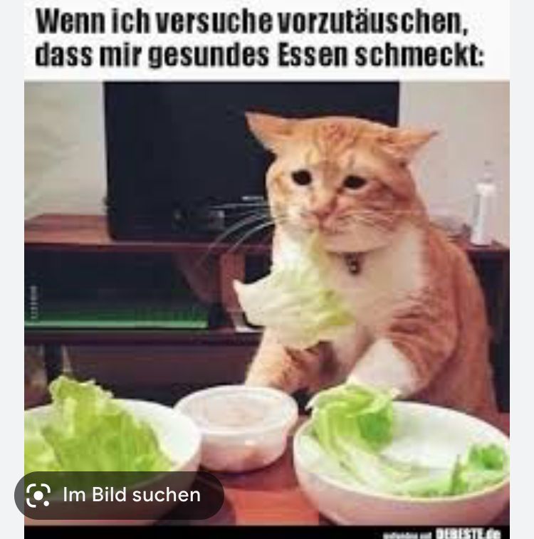 Eine Katze mit Salat im Mund schaut traurig in die Kamera. Es steht "Wenn ich versuche vorzutäuschen, dass mir gesundes Essen schmeckt." über ihr.