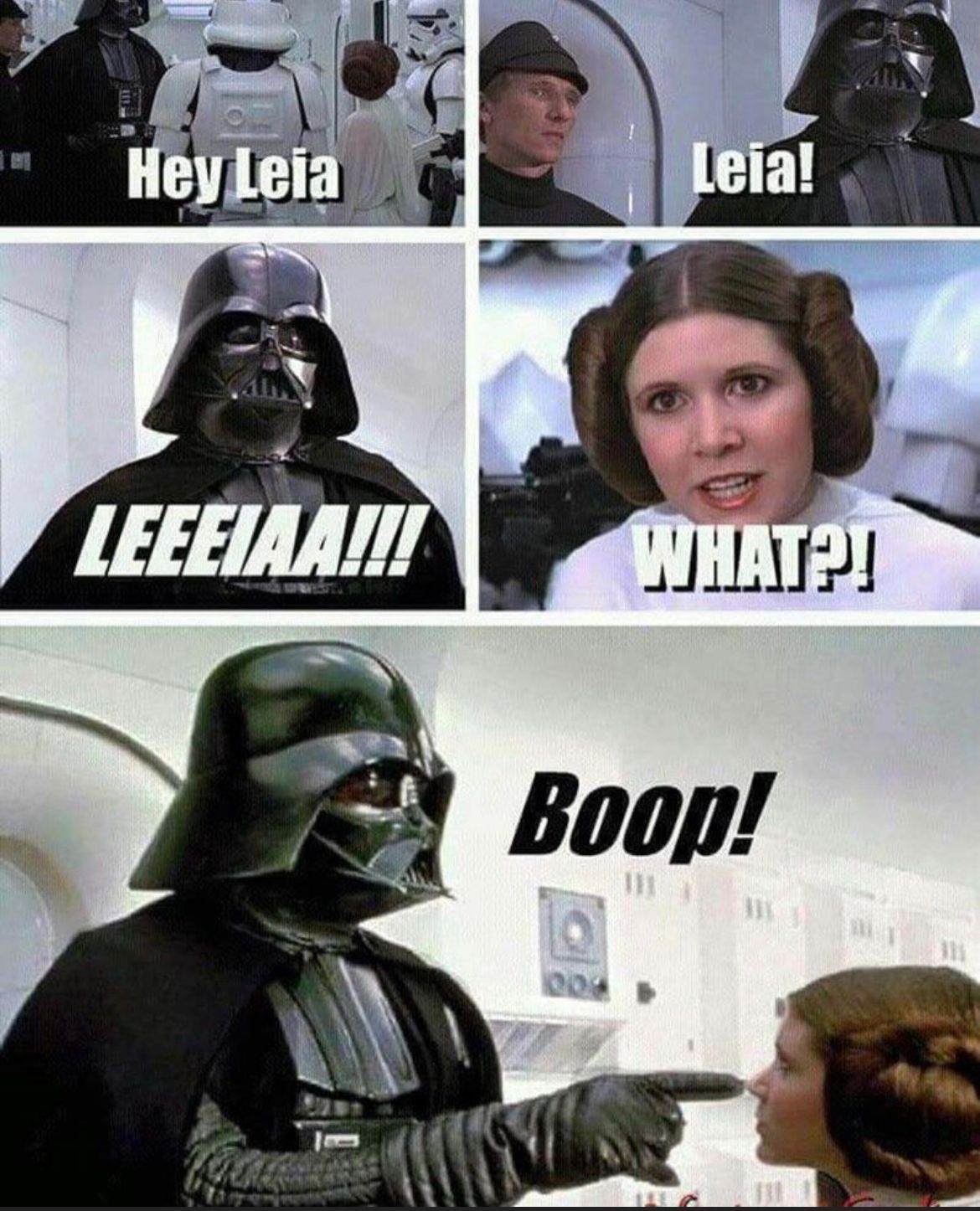 道
Hey Leia
LEEEIAA!!!
Leia!
004
WHAT?!
Boop!
111
311