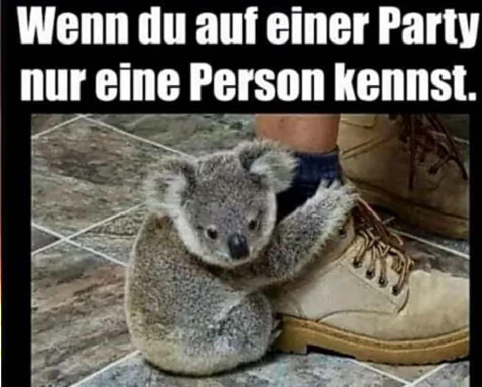 Wenn du auf einer Party
nur eine Person kennst.
死