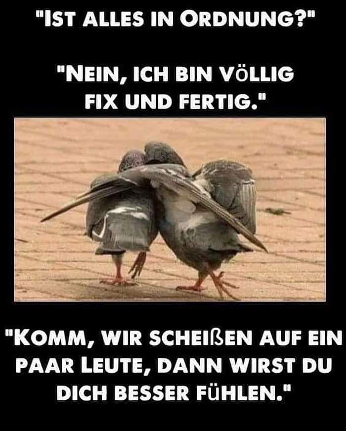 "IST ALLES IN ORDNUNG?"
"NEIN, ICH BIN VÖLLIG
FIX UND FERTIG."
"KOMM, WIR SCHEIBEN AUF EIN
PAAR LEUTE, DANN WIRST DU
DICH BESSER FÜHLEN."