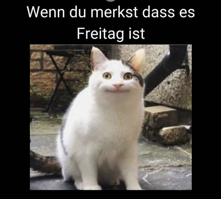 Wenn du merkst dass es
Freitag ist