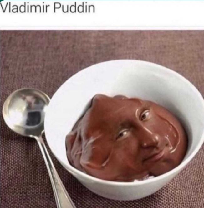 Ein Schokoladenpudding in einer weißen Schüssel, der wie das Gesicht von Wladimir Putin geformt ist. Darüber steht der Text "Vladimir Puddin".