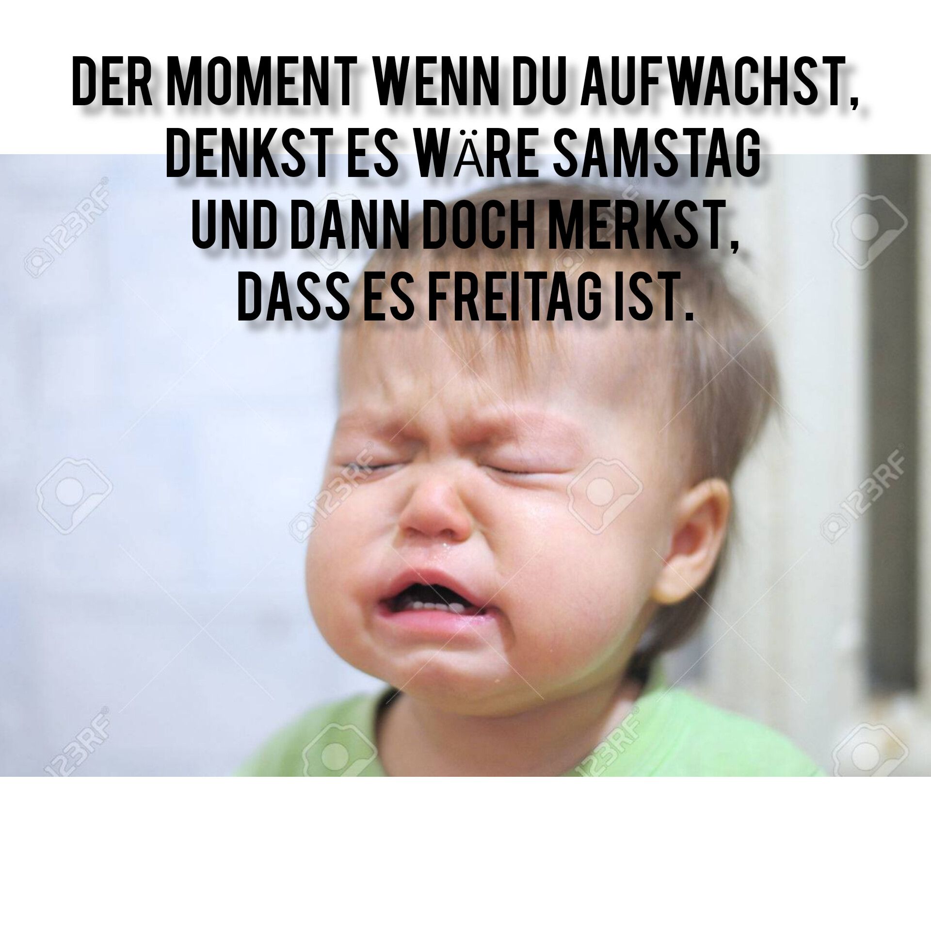 DER MOMENT WENN DU AUFWACHST,
DENKST ES WÄRE SAMSTAG
UND DANN DOCH MERKST,
DASS ES FREITAG IST.
123RF
123RF
123RF
123RF
@123RF